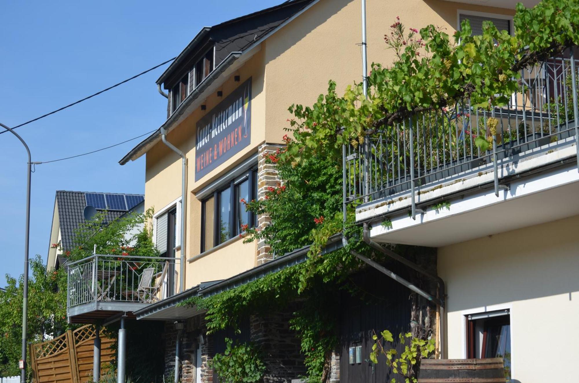 恩克里克Weingut Sauer-Kettermann别墅 外观 照片