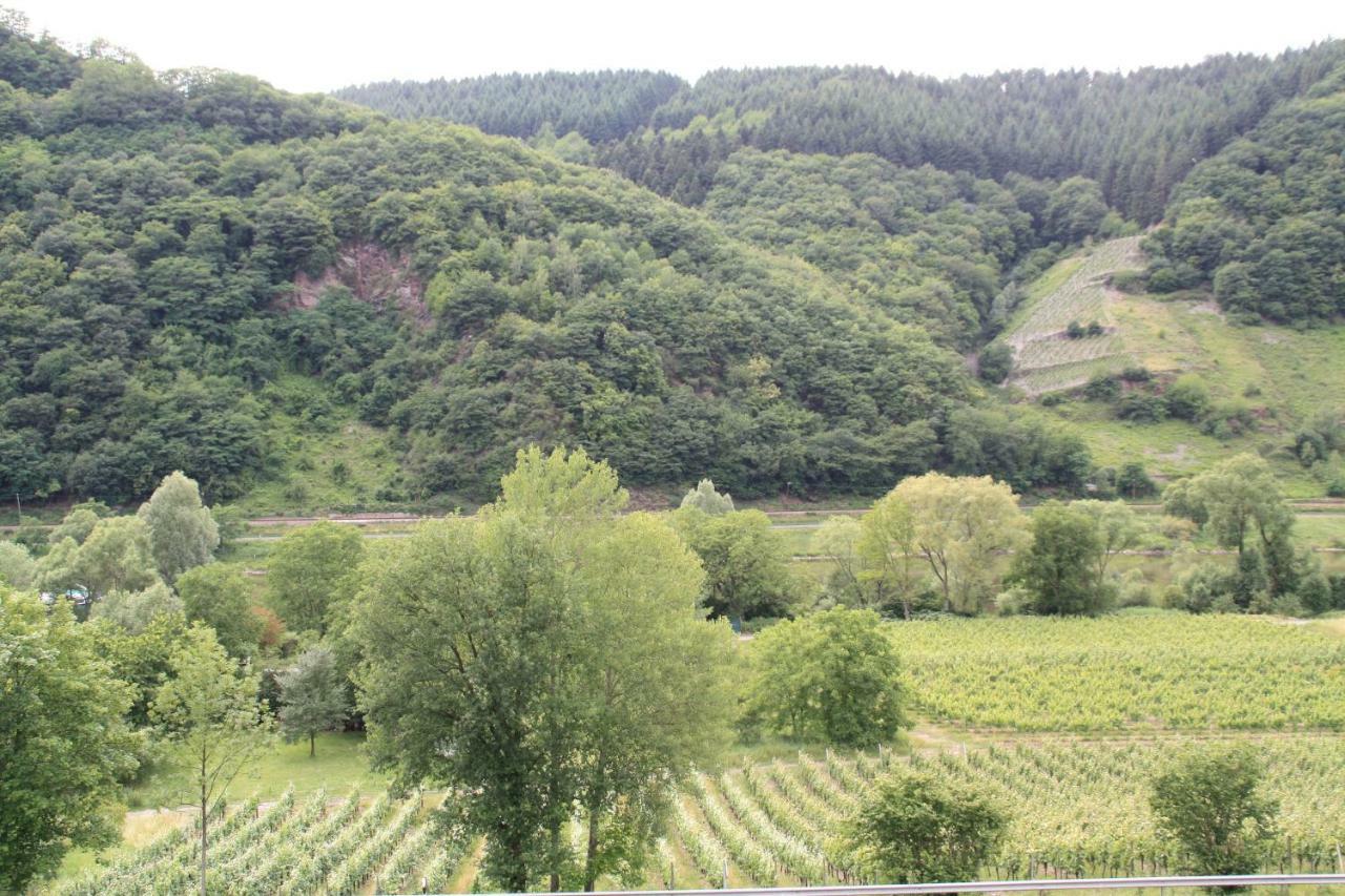 恩克里克Weingut Sauer-Kettermann别墅 外观 照片