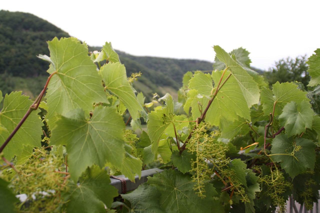 恩克里克Weingut Sauer-Kettermann别墅 外观 照片