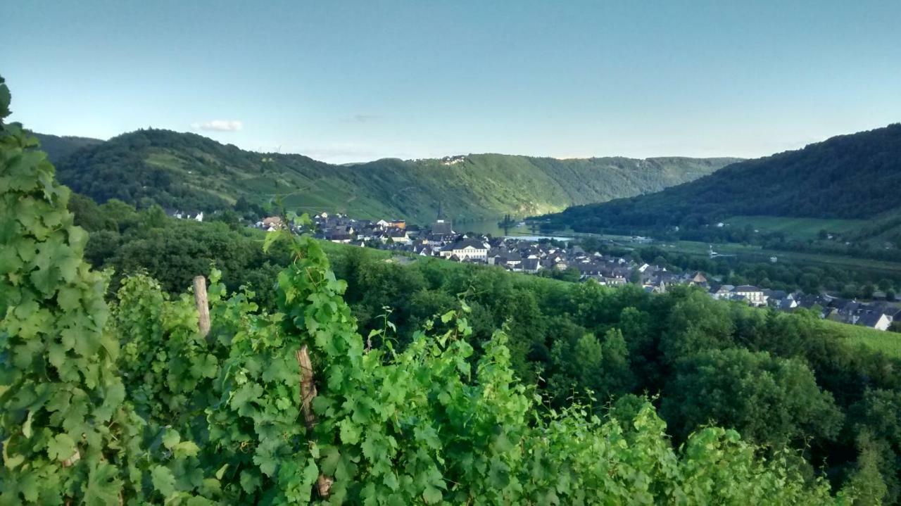 恩克里克Weingut Sauer-Kettermann别墅 外观 照片