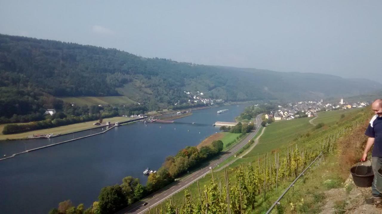 恩克里克Weingut Sauer-Kettermann别墅 外观 照片