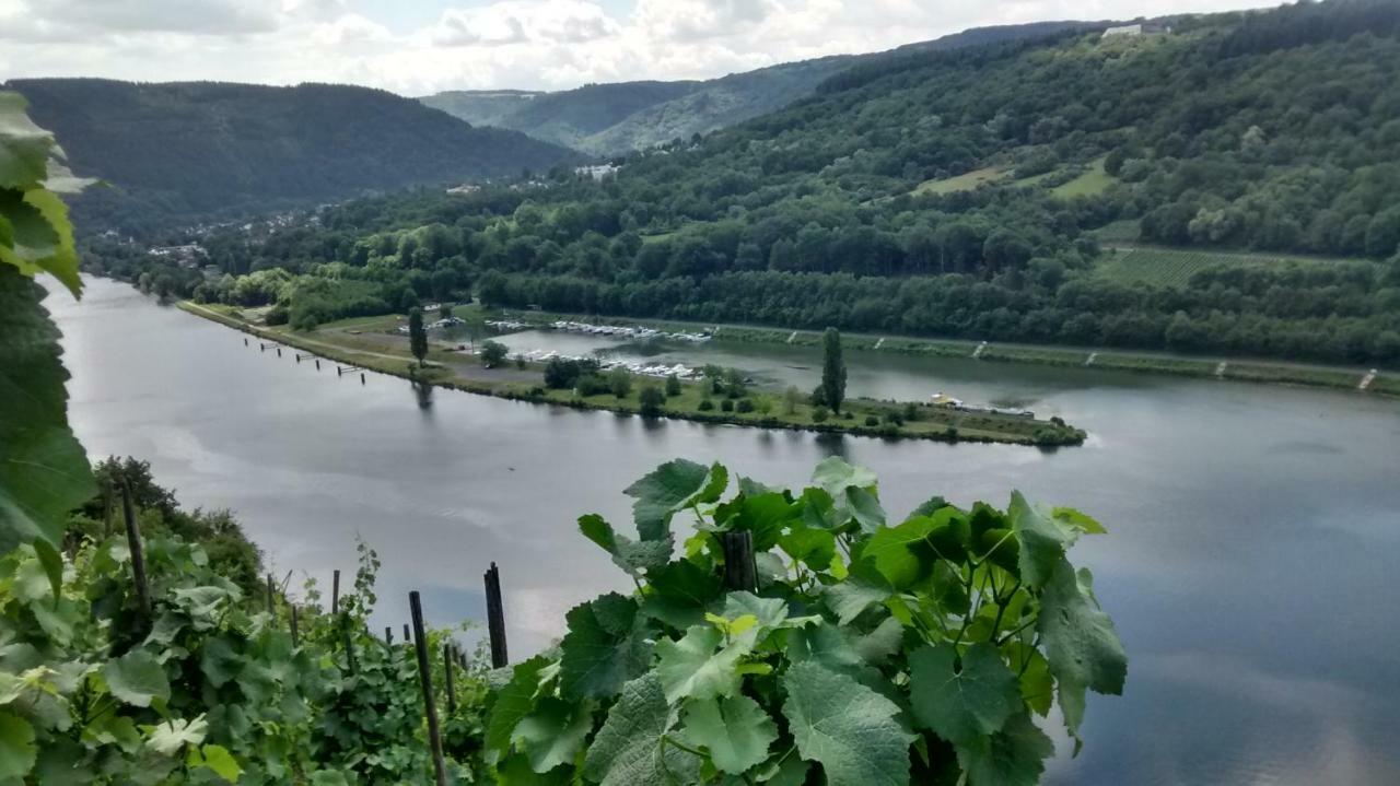 恩克里克Weingut Sauer-Kettermann别墅 外观 照片