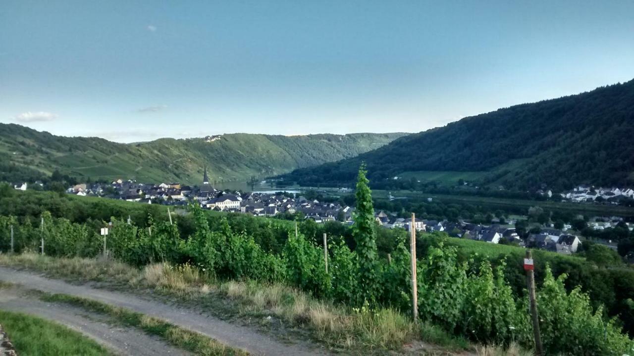恩克里克Weingut Sauer-Kettermann别墅 外观 照片