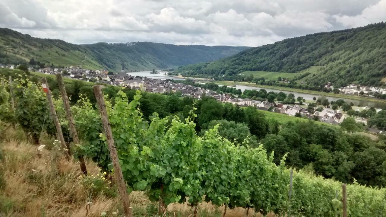 恩克里克Weingut Sauer-Kettermann别墅 外观 照片