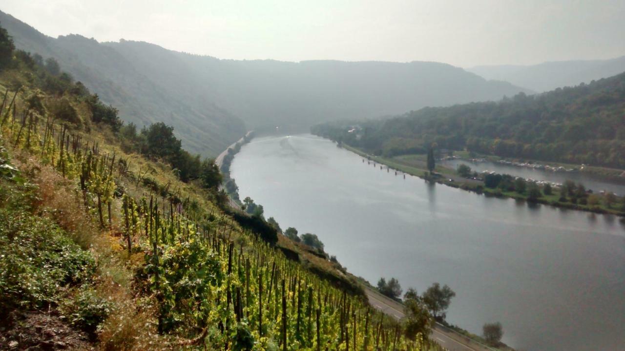 恩克里克Weingut Sauer-Kettermann别墅 外观 照片